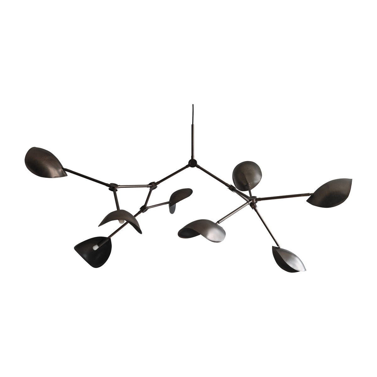 Bilde av 101 Copenhagen Stingray takkrone 150 x 200 cm Bronze