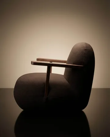Toe chair lenestol med armlener - Classic brown oak-mørk brun - 101 Copenhagen