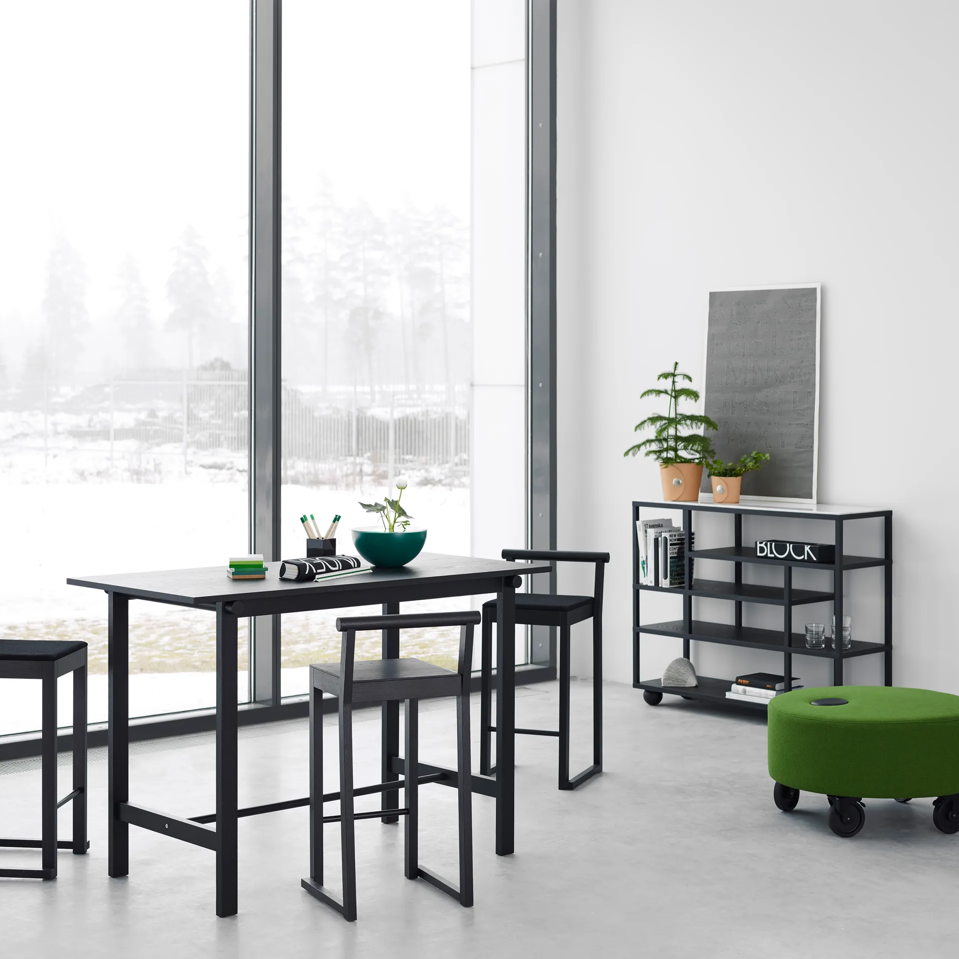 Show hylle, Svartbeiset eik A2