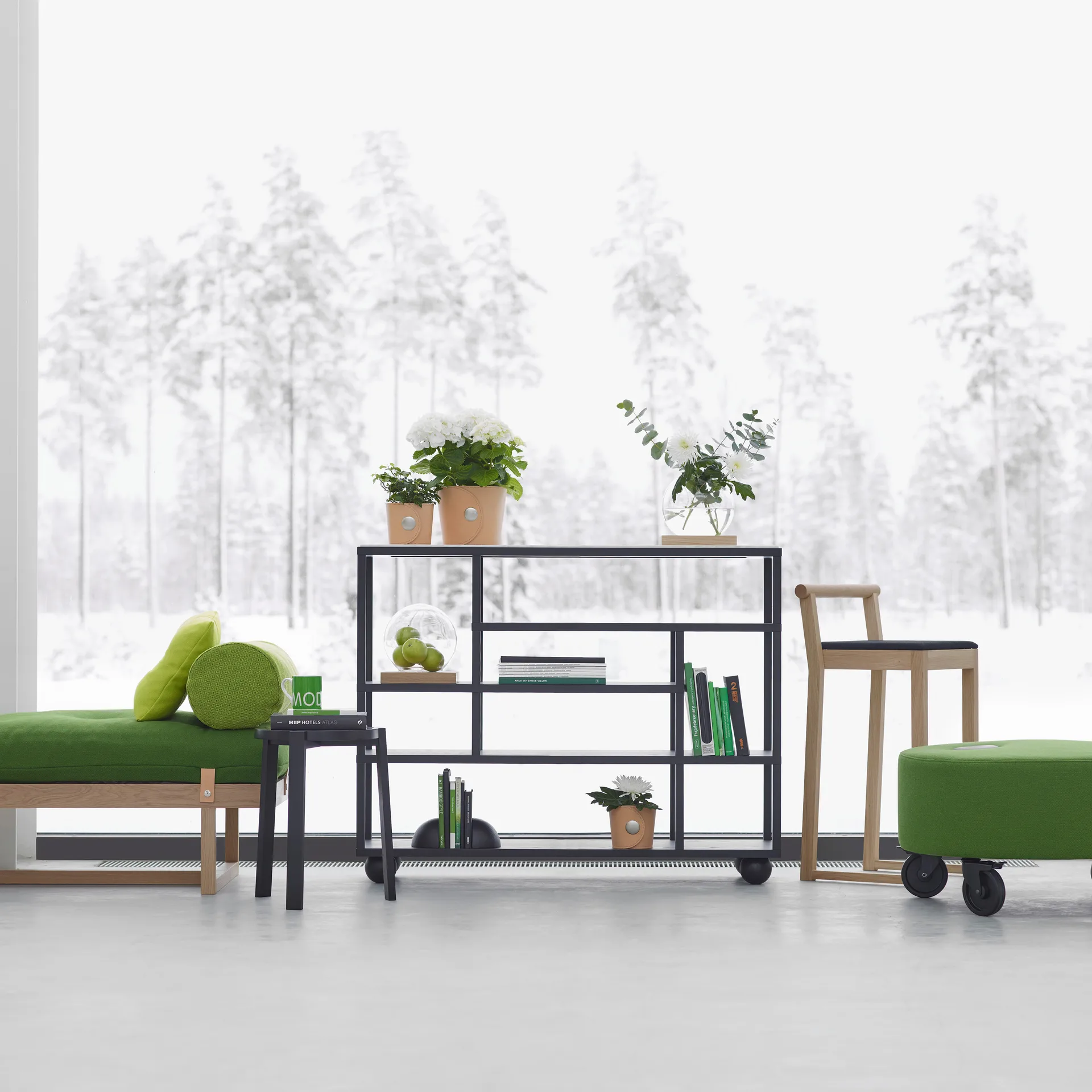 Show hylle, Svartbeiset eik A2