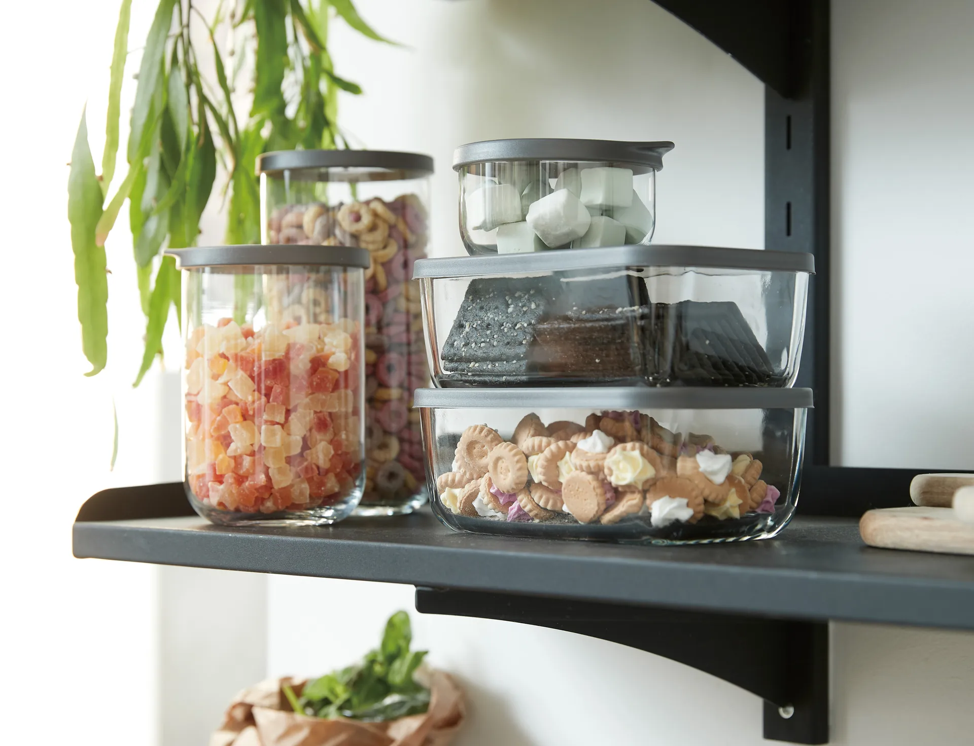 Café oppbevaringsboks med lokk 1 liter, Klar Aida