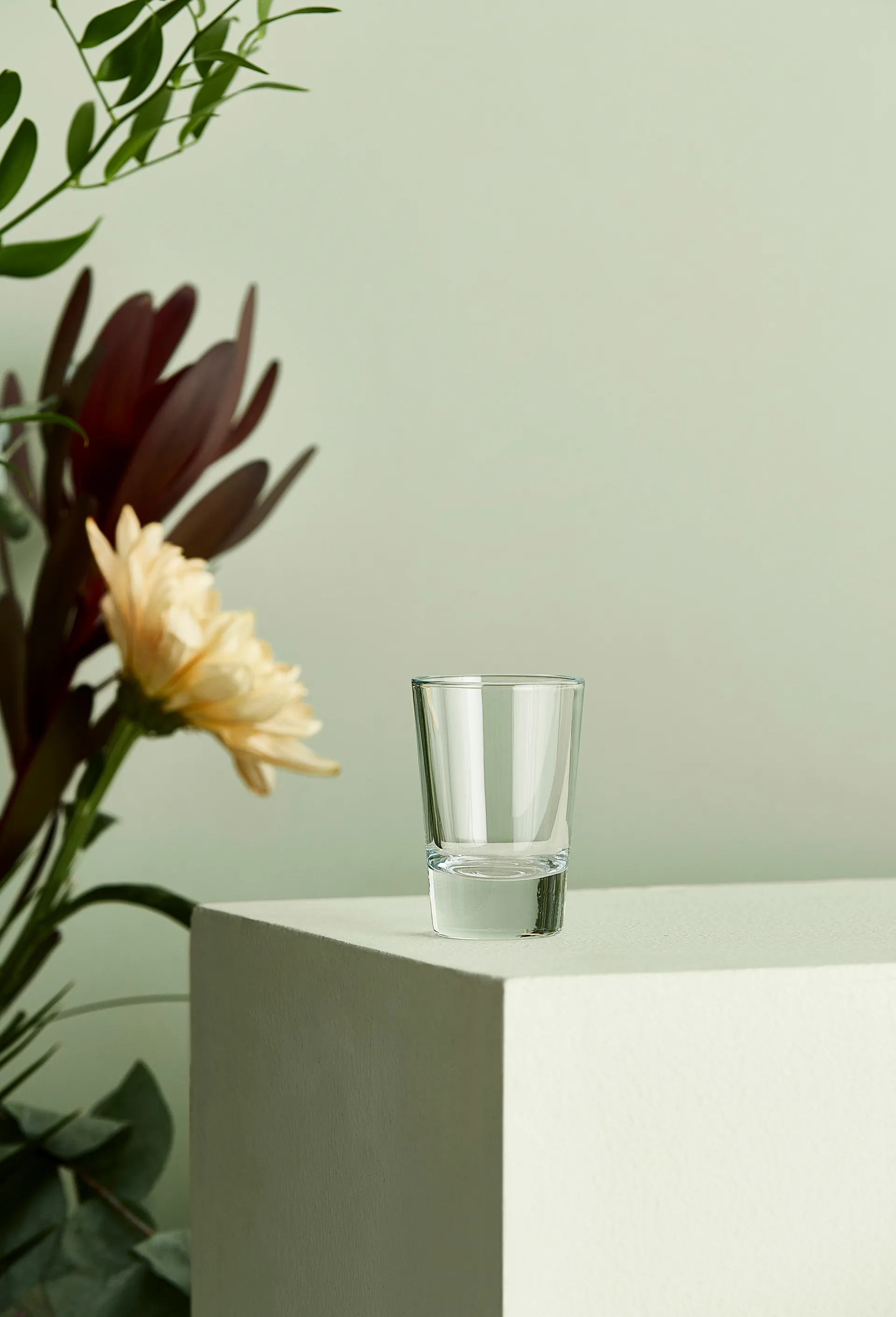 Café shotglass 6,2 cl, Klar Aida