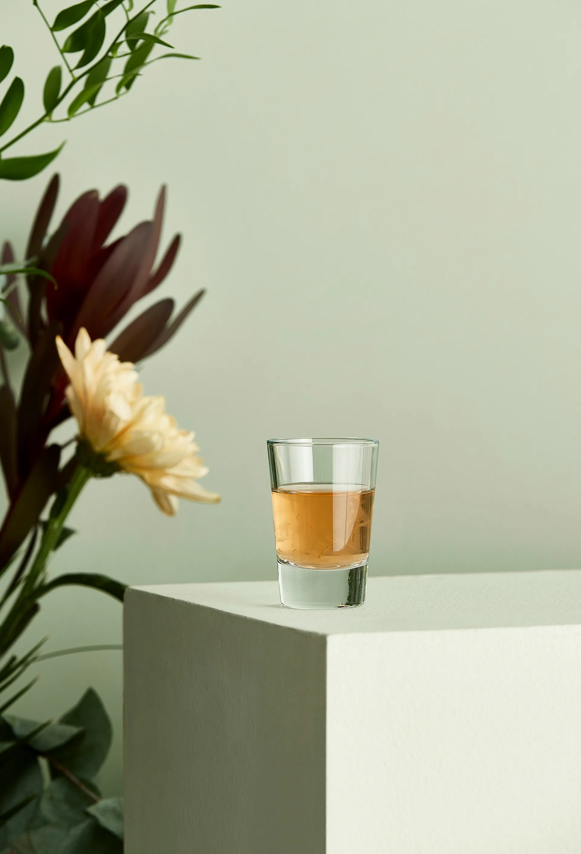 Café shotglass 6,2 cl, Klar Aida