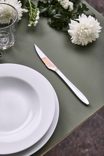 Gastro biffkniv - Rustfritt stål - Aida