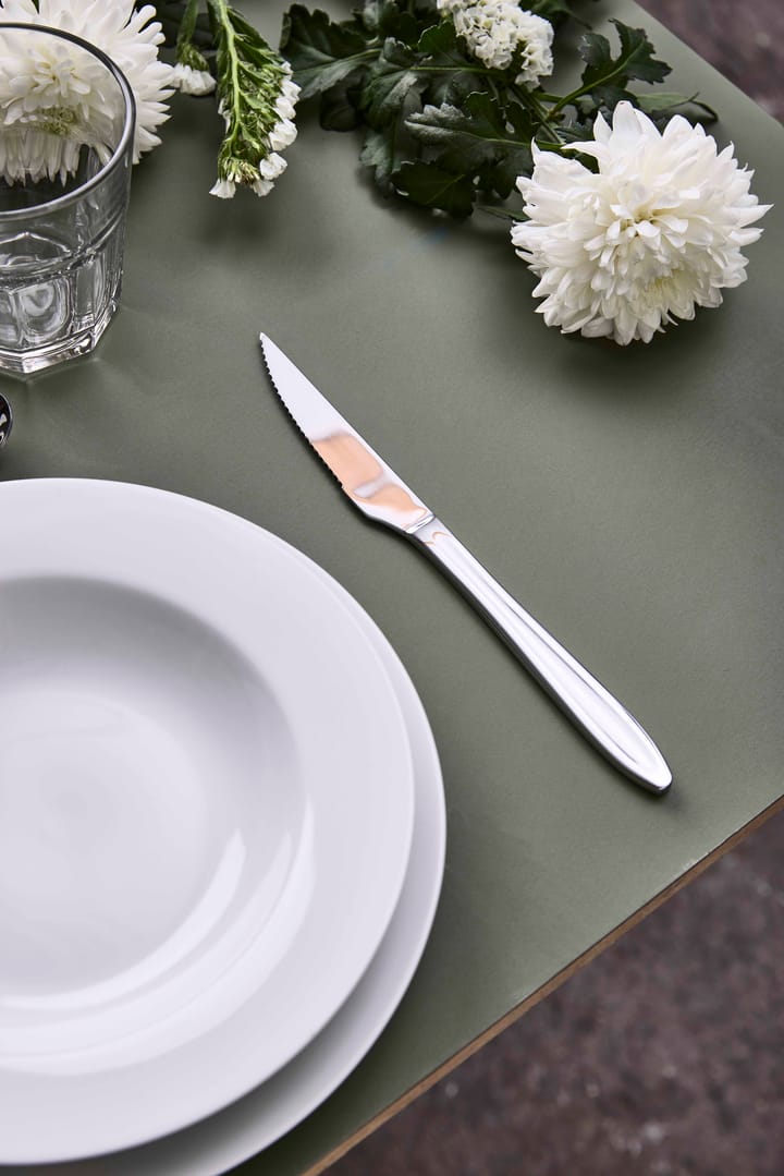 Gastro biffkniv, Rustfritt stål Aida
