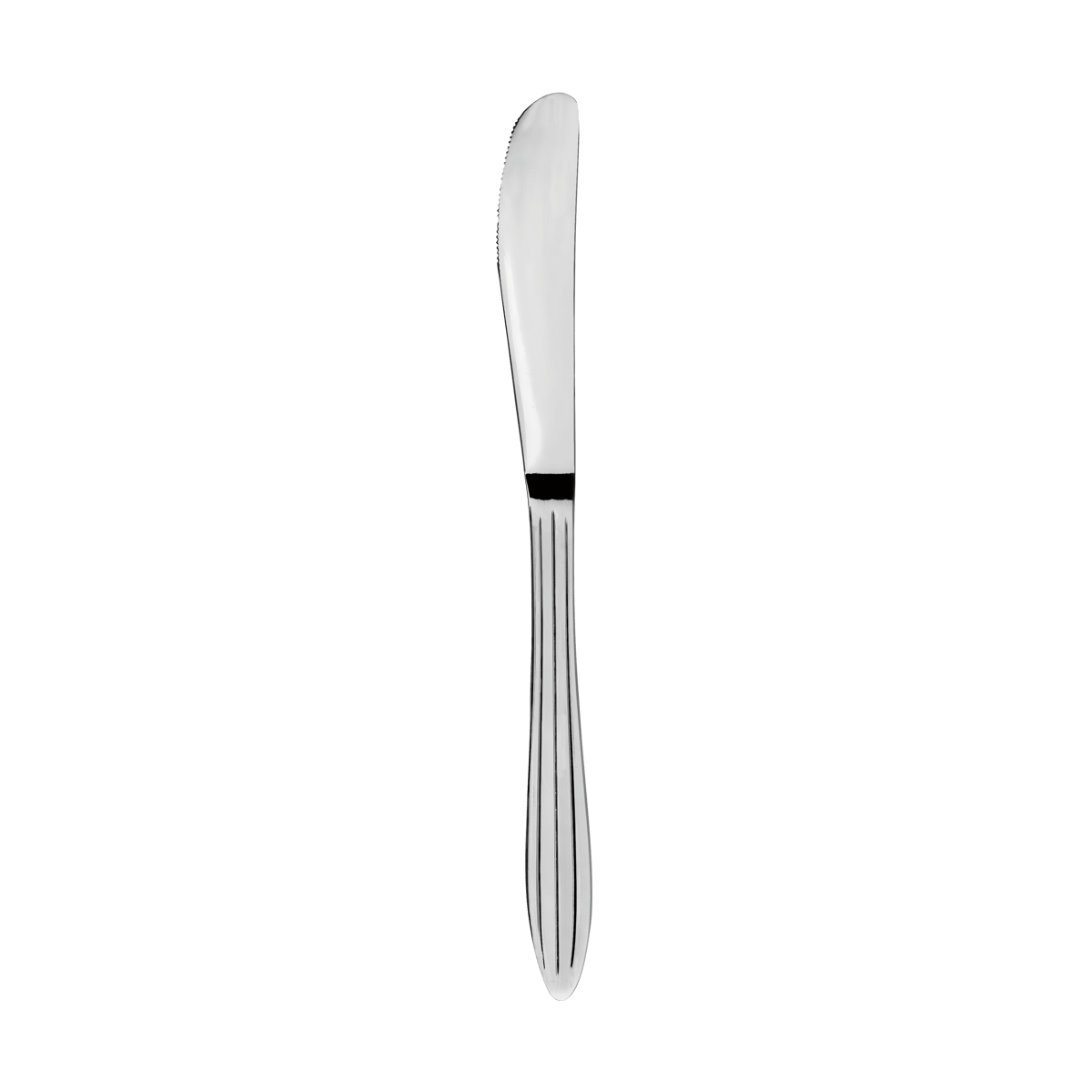 Aida Gastro kniv Rustfritt stål