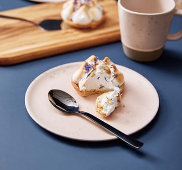 Raw dessertskje 4-pakning - Sort - Aida