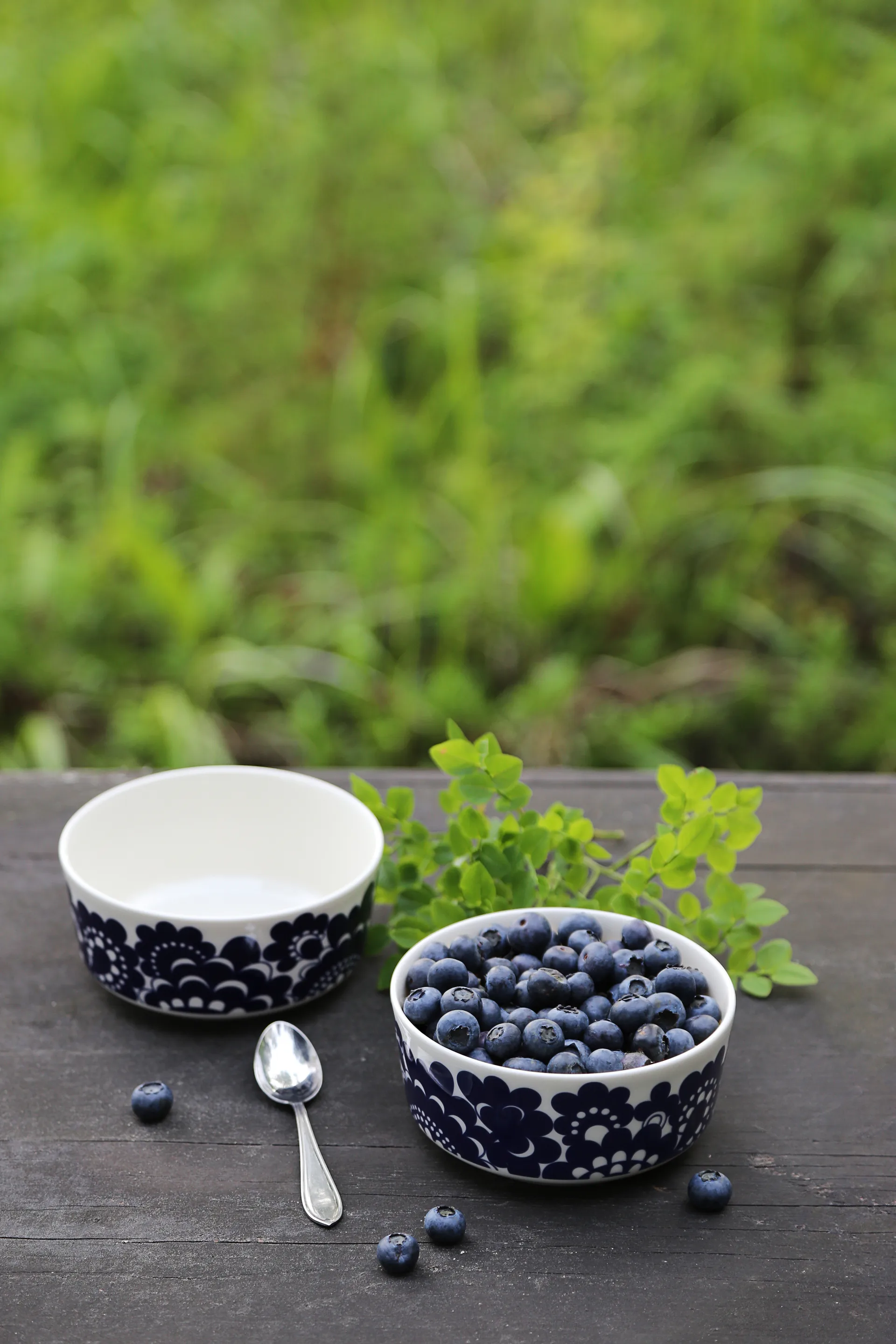 Esteri kopp 30 cl og skål Ø 13 cm, Blå Arabia