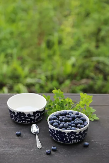 Pastoraali & Esteri Arabia mikssett skål 2 deler - Blå - Arabia