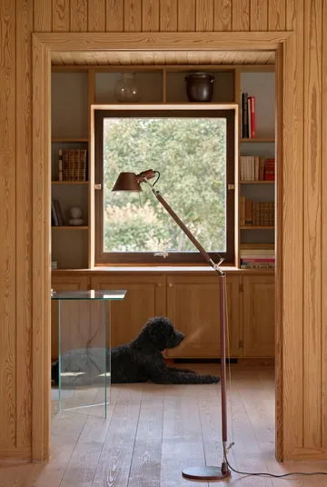 Tolomeo Reading gulvlampe E27 special edition - Brown metallic (brun) - Artemide