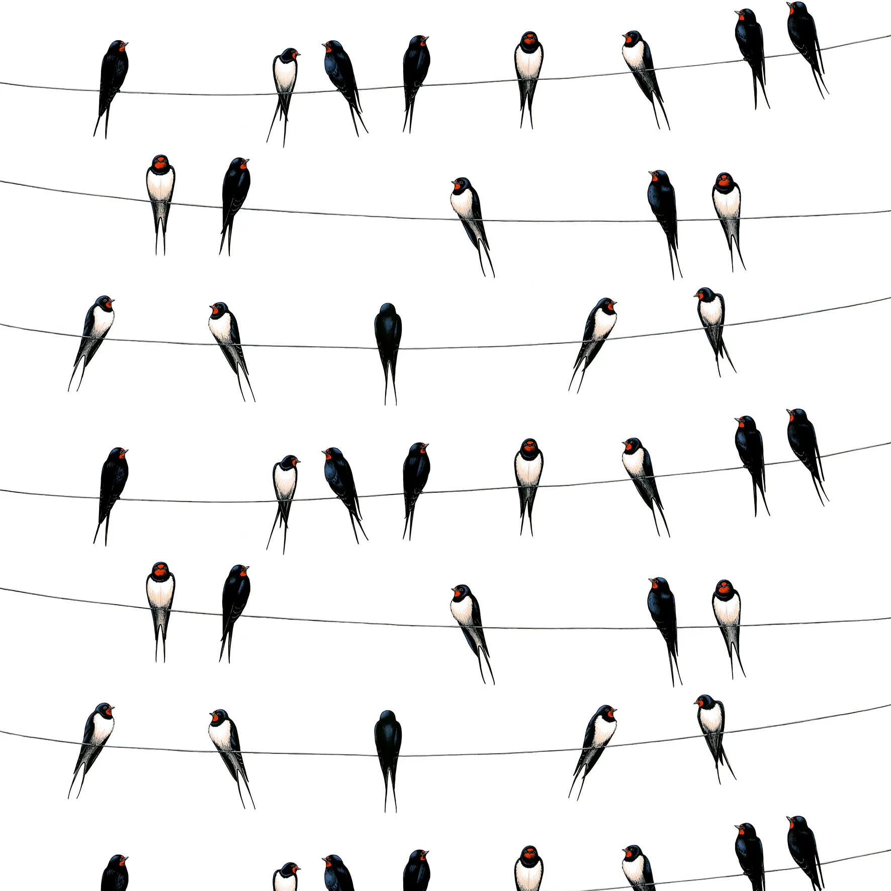 Ladusvalor stoff, hvit Arvidssons Textil