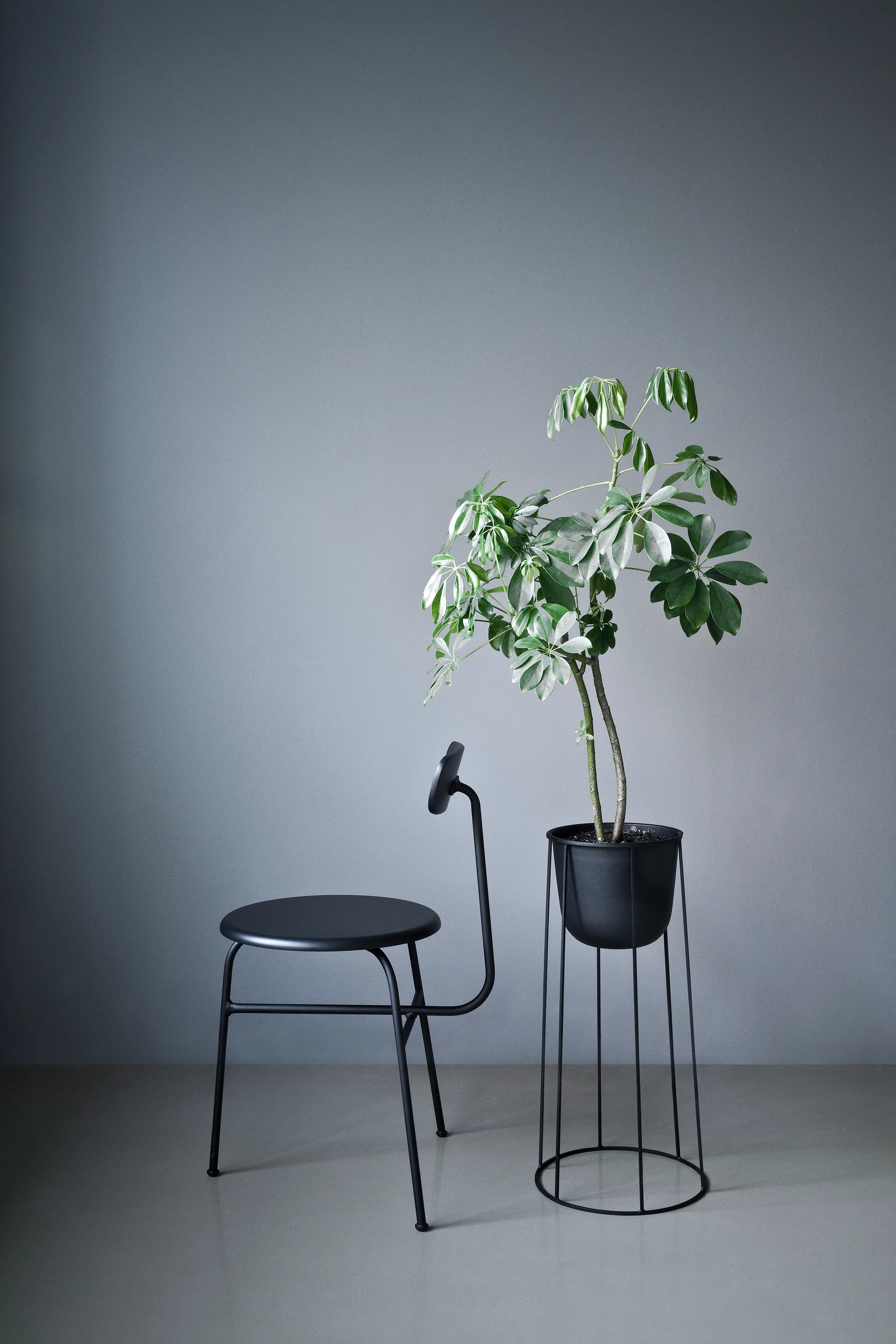 Afteroom stol lær 4 ben, svart-svart Audo Copenhagen