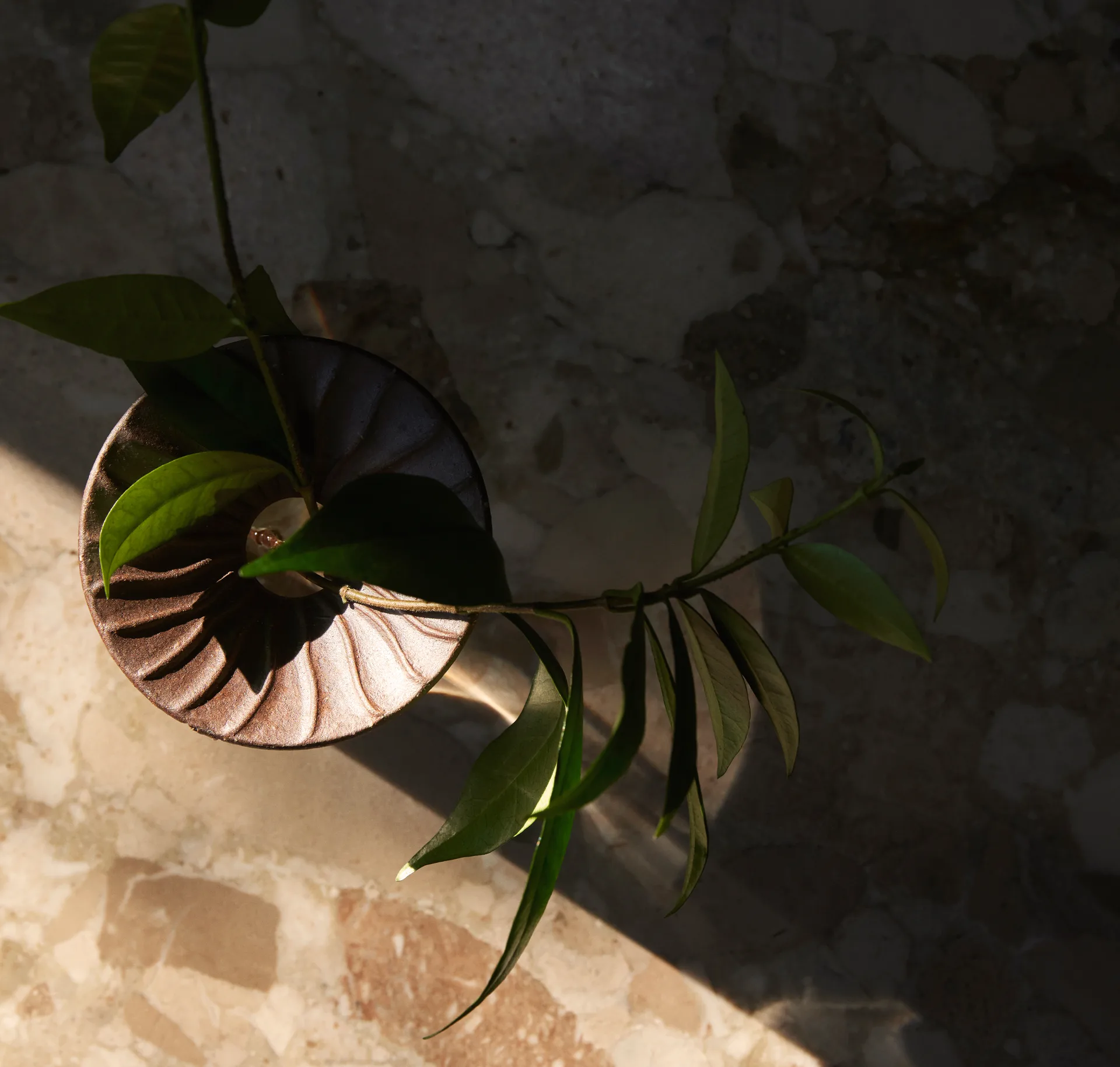 Cresco Propagation vase 2 deler, Brun-klar Audo Copenhagen