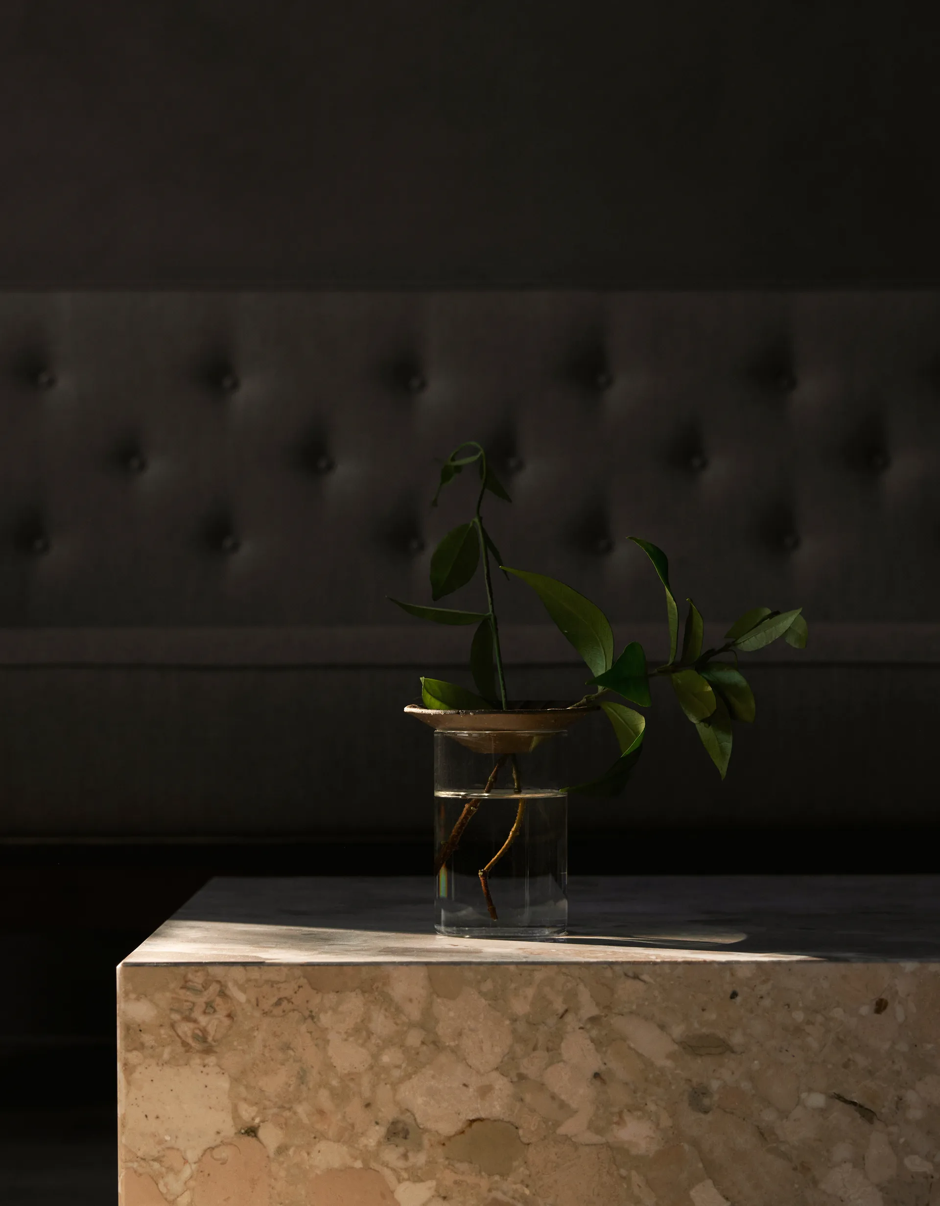 Cresco Propagation vase 2 deler, Brun-klar Audo Copenhagen