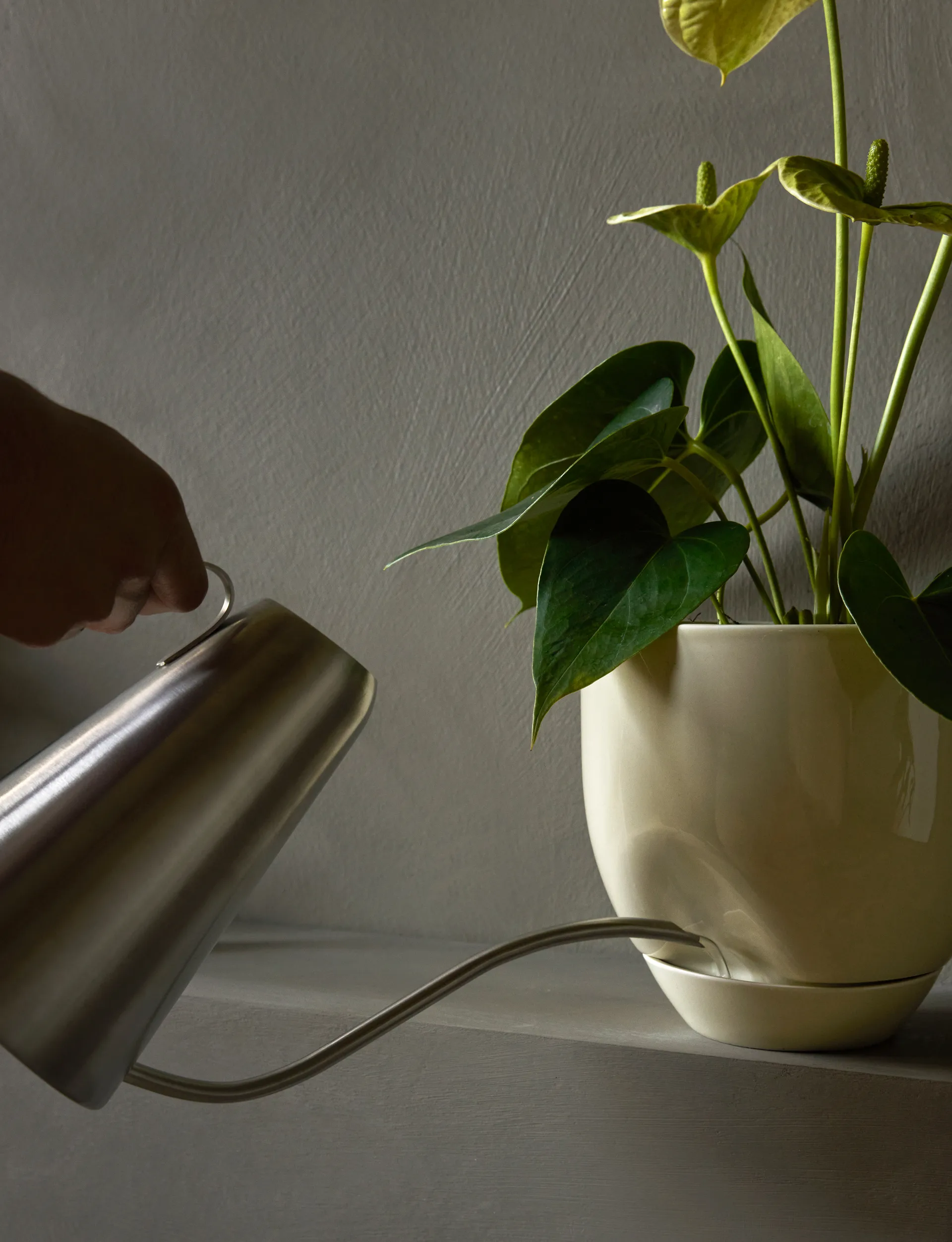 Hydrous krukke Ø 20 cm7, Ashen Audo Copenhagen