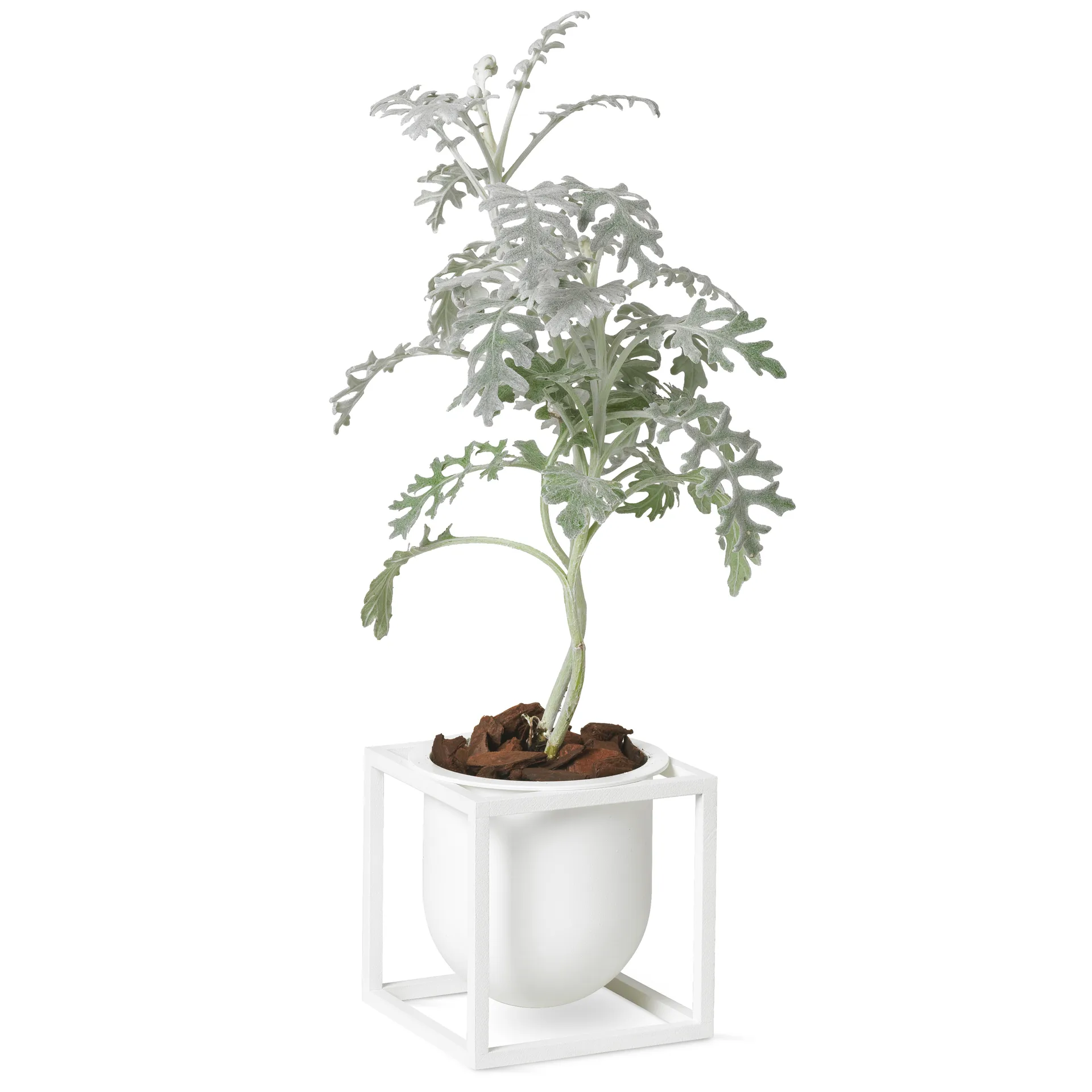 Kubus blomsterpotte 10 cm, Hvit Audo Copenhagen