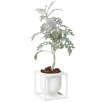 Kubus blomsterpotte 10 cm - Hvit - Audo Copenhagen