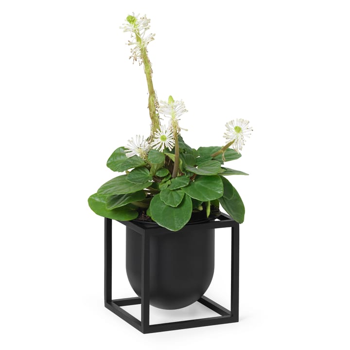 Kubus blomsterpotte 10 cm, Svart Audo Copenhagen