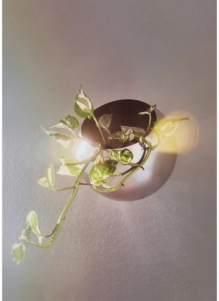 Globe krukke vegg Ø 21 cm, Silver AYTM