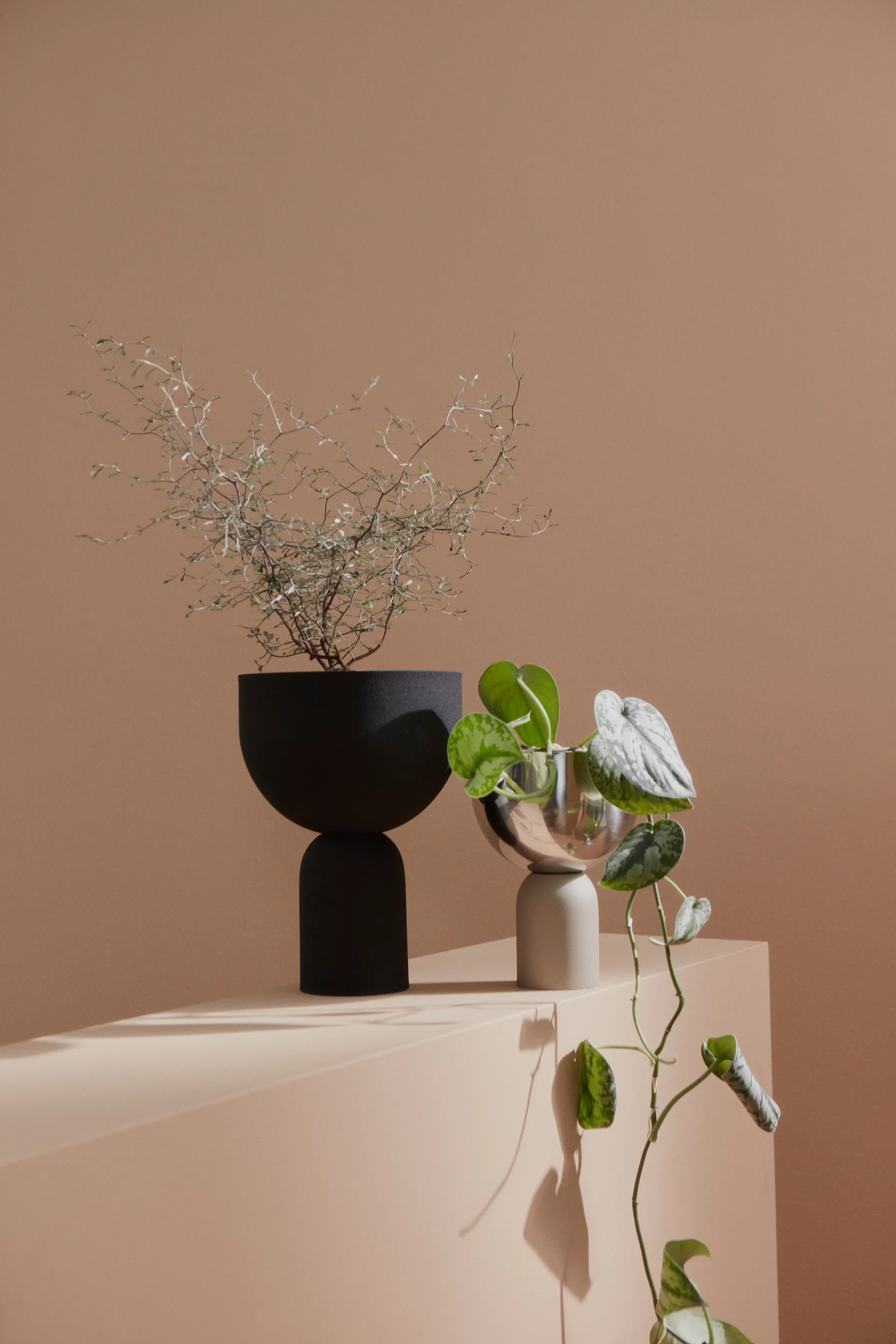 Torus krukke Ø 22 cm, Black-black AYTM