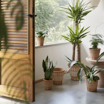 Atlas raw krukke med fat - Rosa, Ø16 cm - Bergs Potter