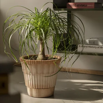 Atlas raw krukke med fat - Rosa, Ø25 cm - Bergs Potter