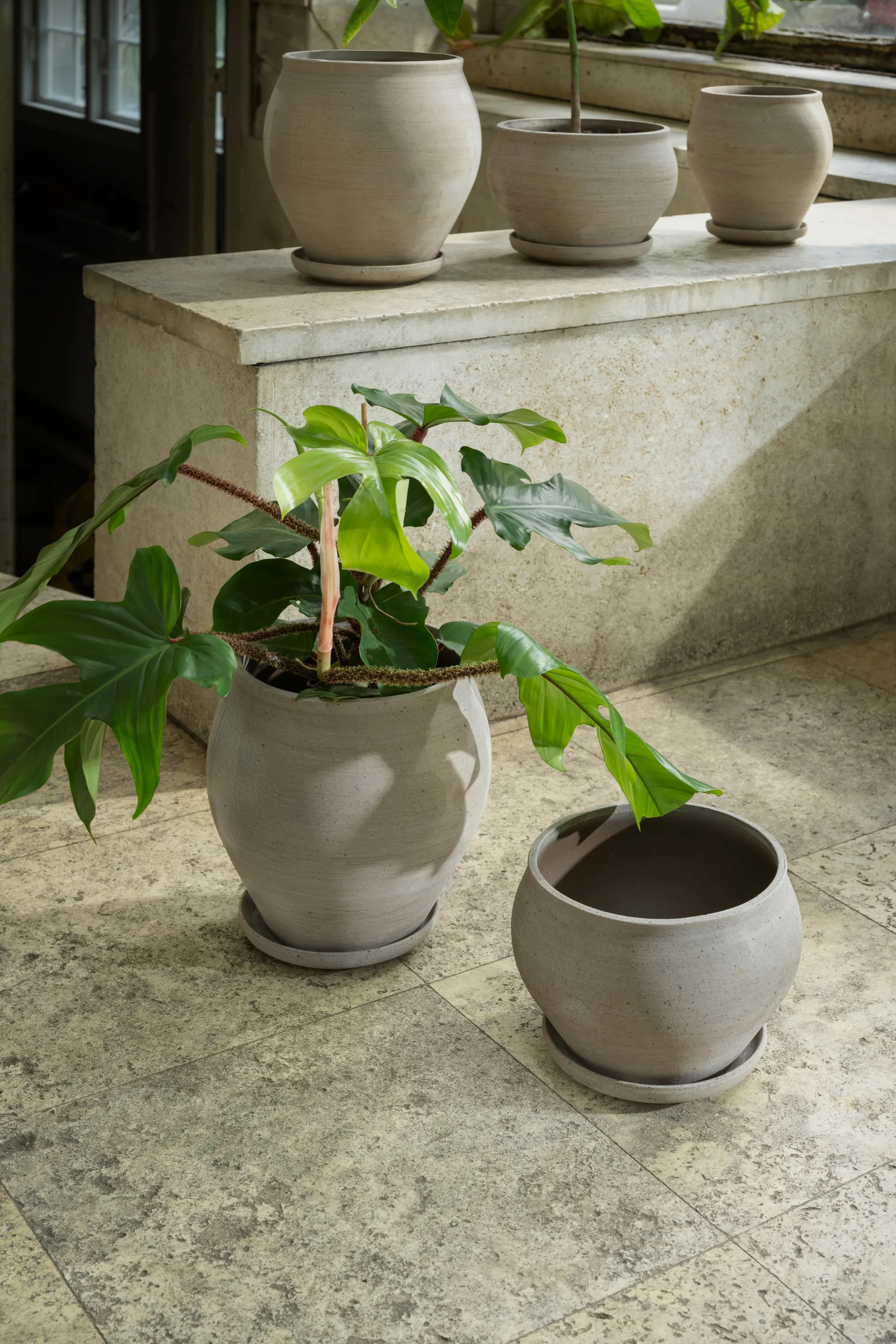 Delphi potte med fat 2 deler, Grey, Ø22 cm, tall Bergs Potter