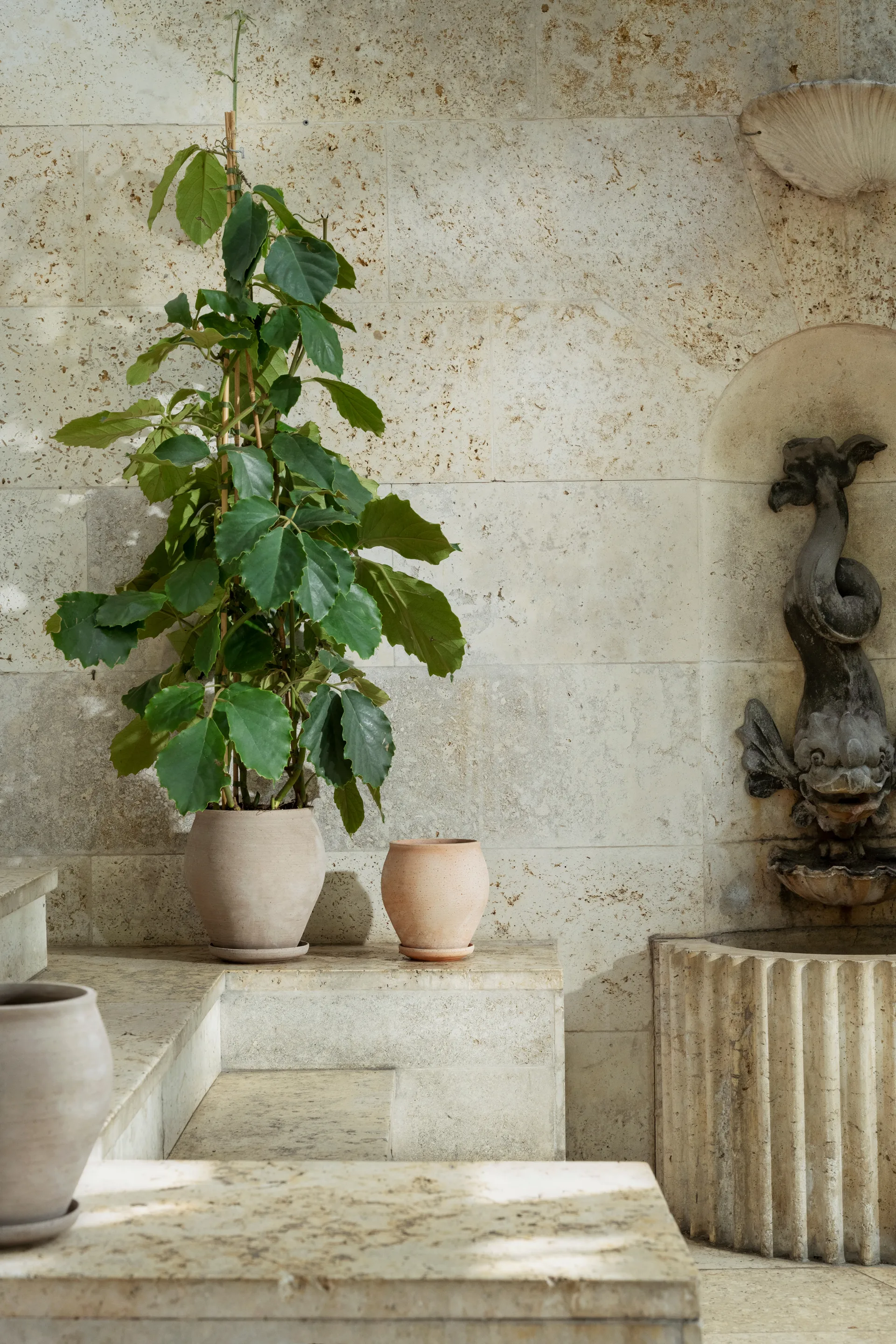 Delphi potte med fat 2 deler, Grey, Ø22 cm, tall Bergs Potter