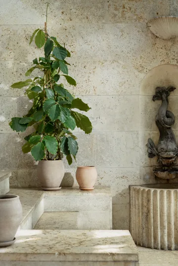 Delphi potte med fat 2 deler - Grey, Ø22 cm, tall - Bergs Potter