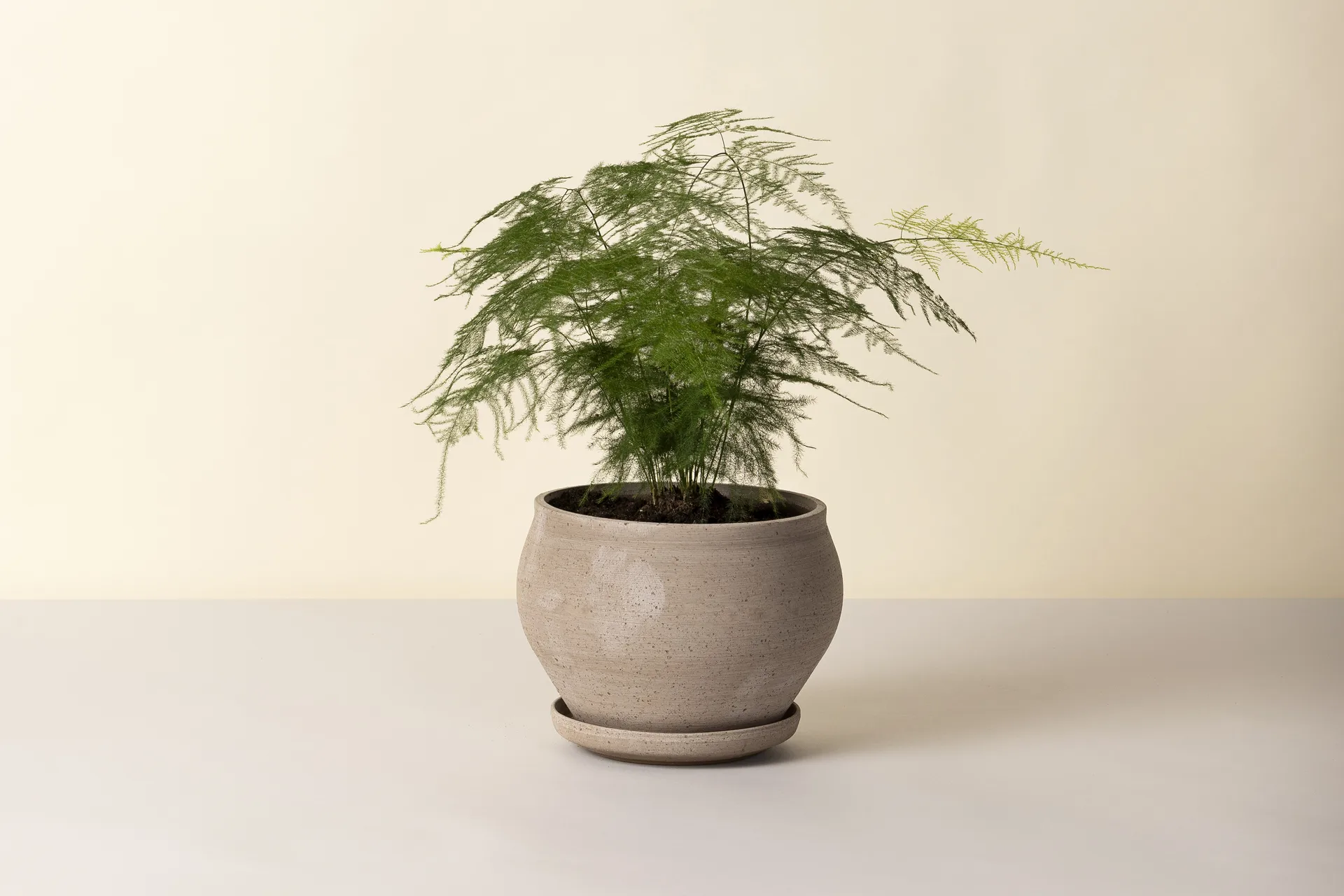 Delphi potte med fat 2 deler, Grey, Ø24 cm, low Bergs Potter