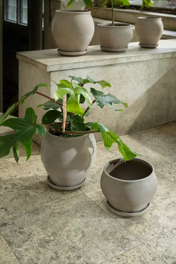 Delphi potte med fat 2 deler - Grey, Ø24 cm, low - Bergs Potter