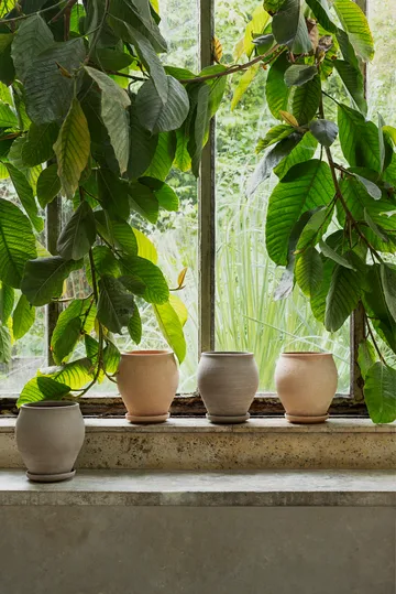 Delphi potte med fat 2 deler - Rosa, Ø20 cm - Bergs Potter