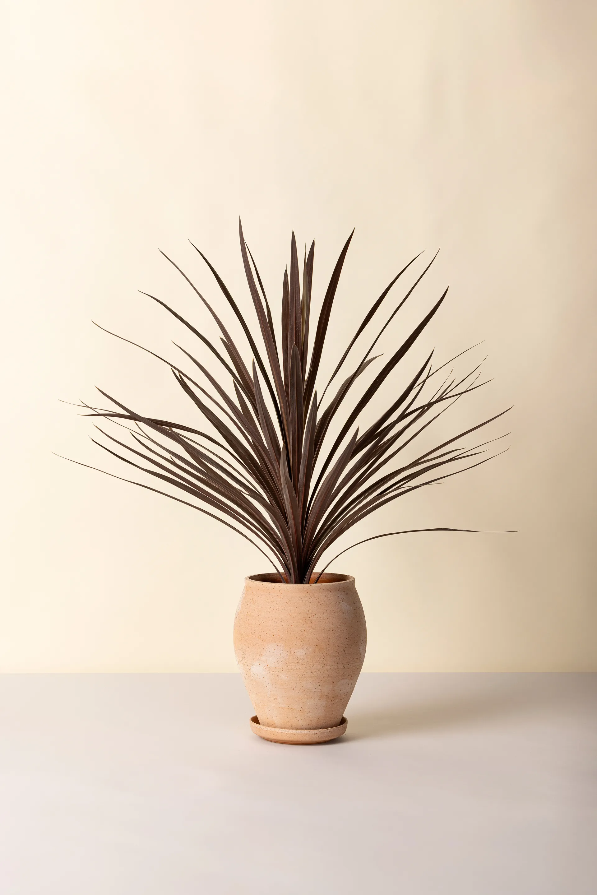 Delphi potte med fat 2 deler, Rosa, Ø22 cm, tall Bergs Potter