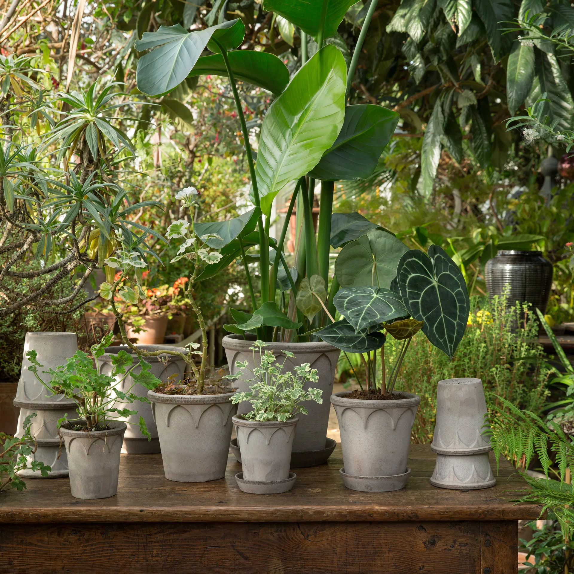 Elizabeth krukke Ø12 cm, Grey Bergs Potter