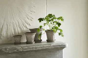 Fleur potte med fat 2 deler - Grey, Ø12 cm - Bergs Potter