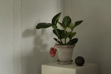 Fleur potte med fat 2 deler - Grey, Ø18 cm - Bergs Potter