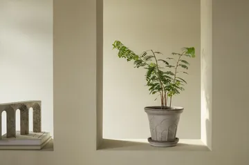 Fleur potte med fat 2 deler - Grey, Ø21 cm - Bergs Potter