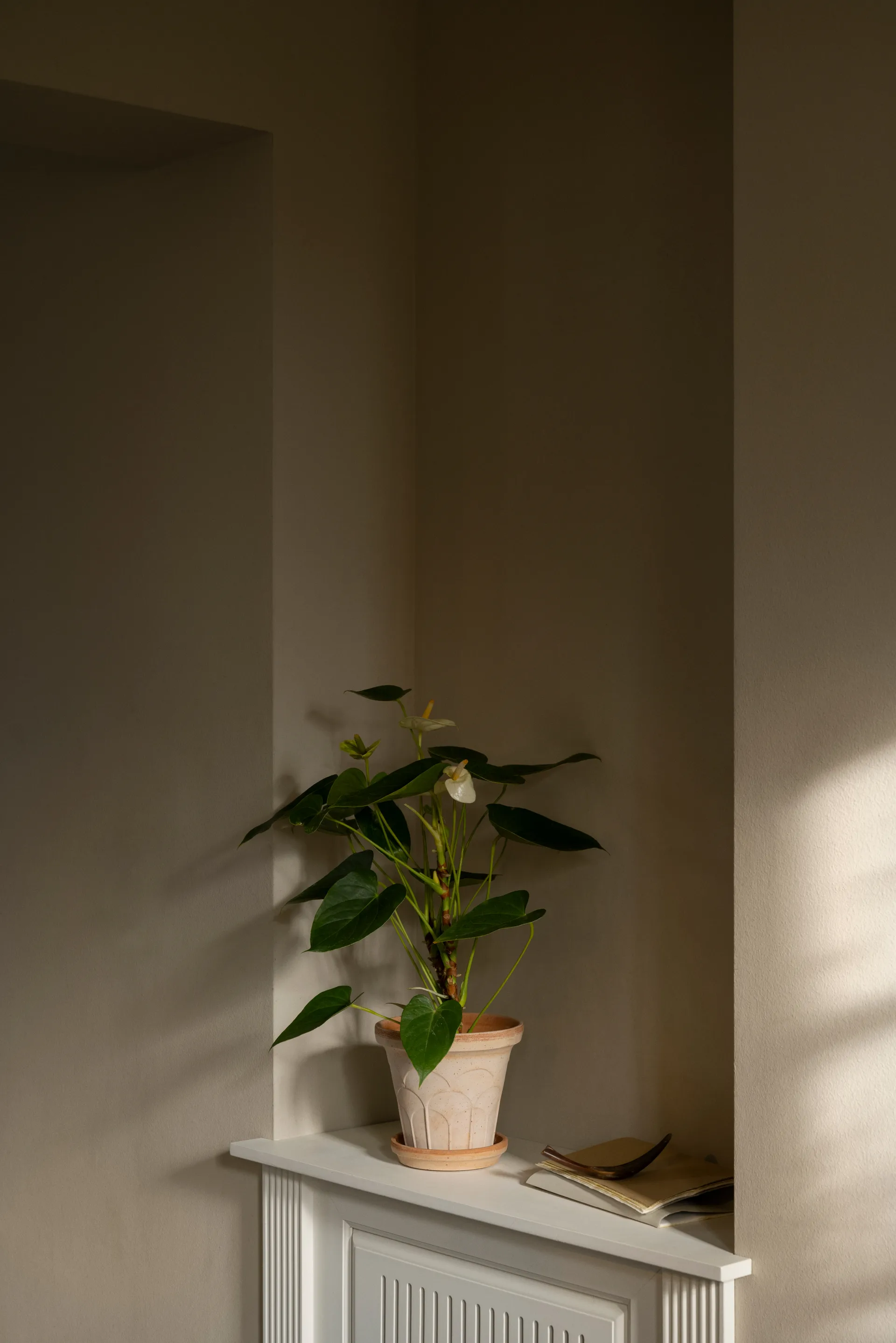 Fleur potte med fat 2 deler, Rosa, Ø16 cm Bergs Potter