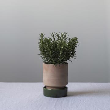 Hoff krukke - Ø14 cm, Raw Rosa-Emerald Green - Bergs Potter