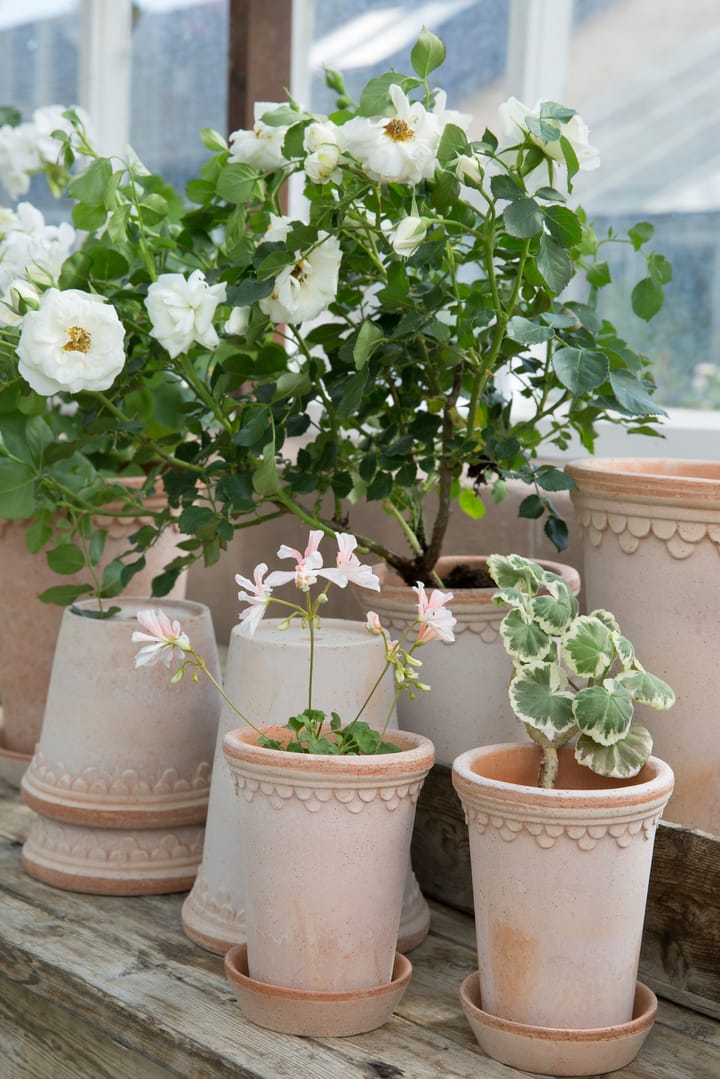 København krukke høy Ø10 cm - Rosa - Bergs Potter