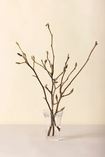 København vase - Klar, 18,5 cm - Bergs Potter