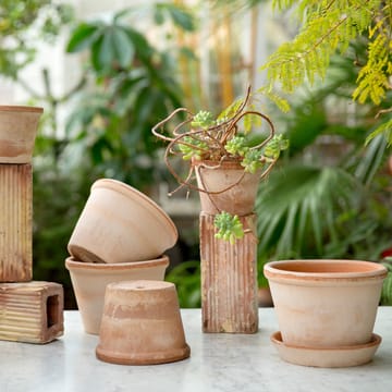 Parade krukke 15 cm - Rosa - Bergs Potter