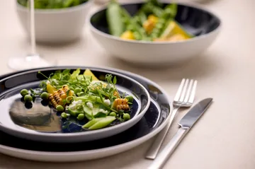 Bitz tallerken gastro Ø27 cm - Hvit-mørk blå - Bitz