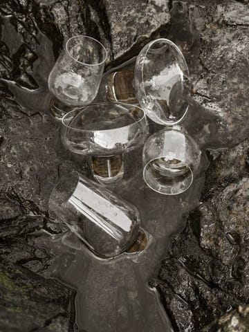 Koyoi proseccoglass 20 cl - Klar - Blomus