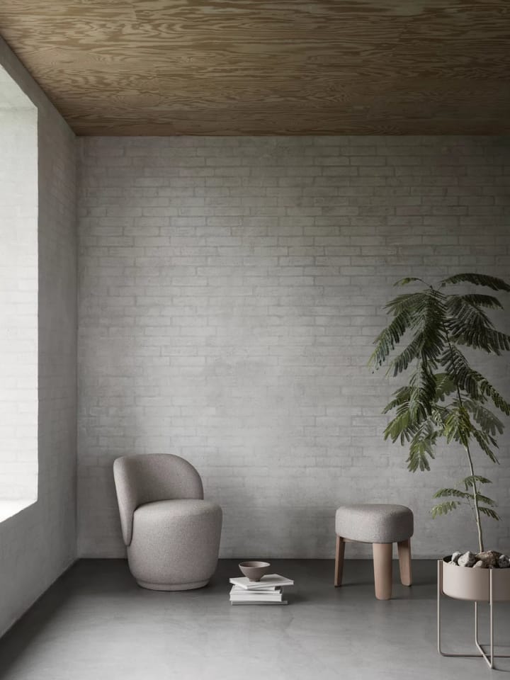 Kuon lenestol, Socia desert Blomus