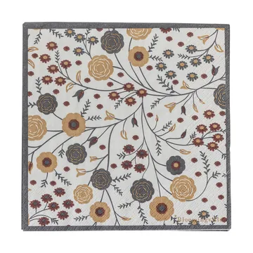 Eydis papirsserviett 20-pakning - Natur - Bloomingville