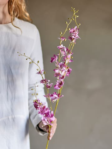 Stilk orkidé vokseblomst - Pink - Bloomingville