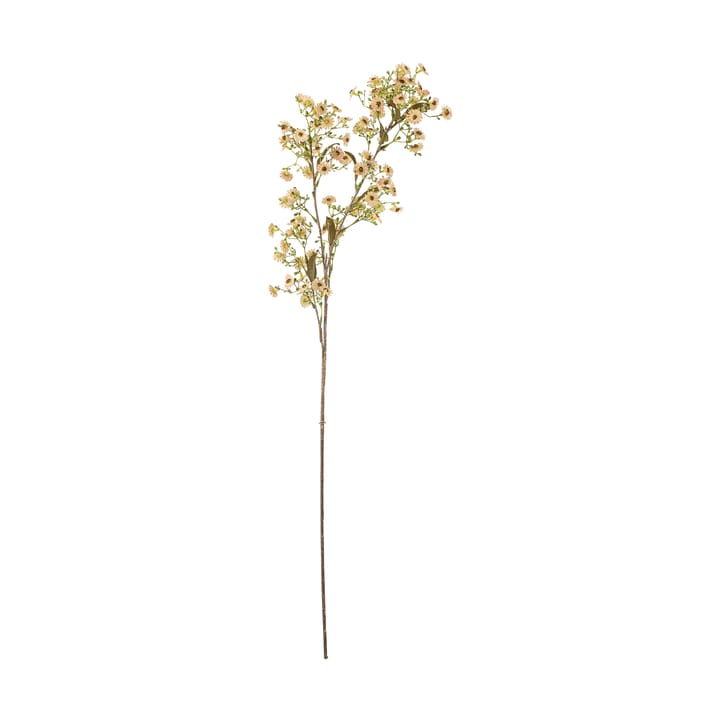 Stilk voksblomst - Hvit - Bloomingville