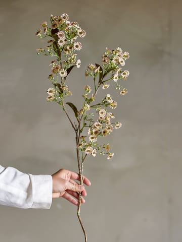 Stilk voksblomst - Hvit - Bloomingville