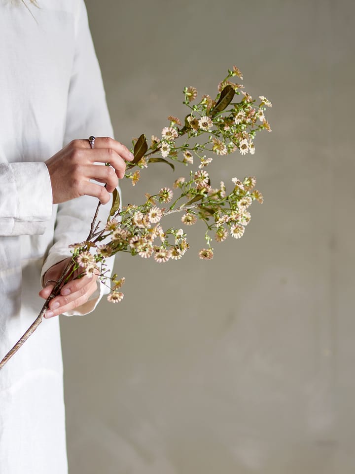 Stilk voksblomst, Hvit Bloomingville
